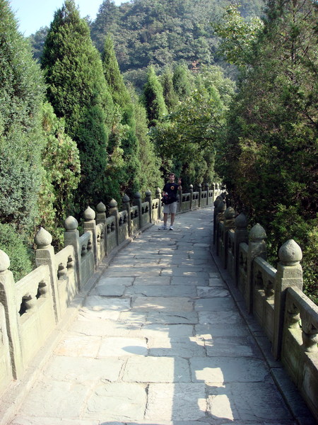 Image: /media/?path=/trips/2007-08-13 China/2007-08-20_Wudang/20070820-161122-0-Rob.jpg